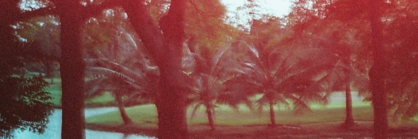 b☕️ ꕤ*。 banner