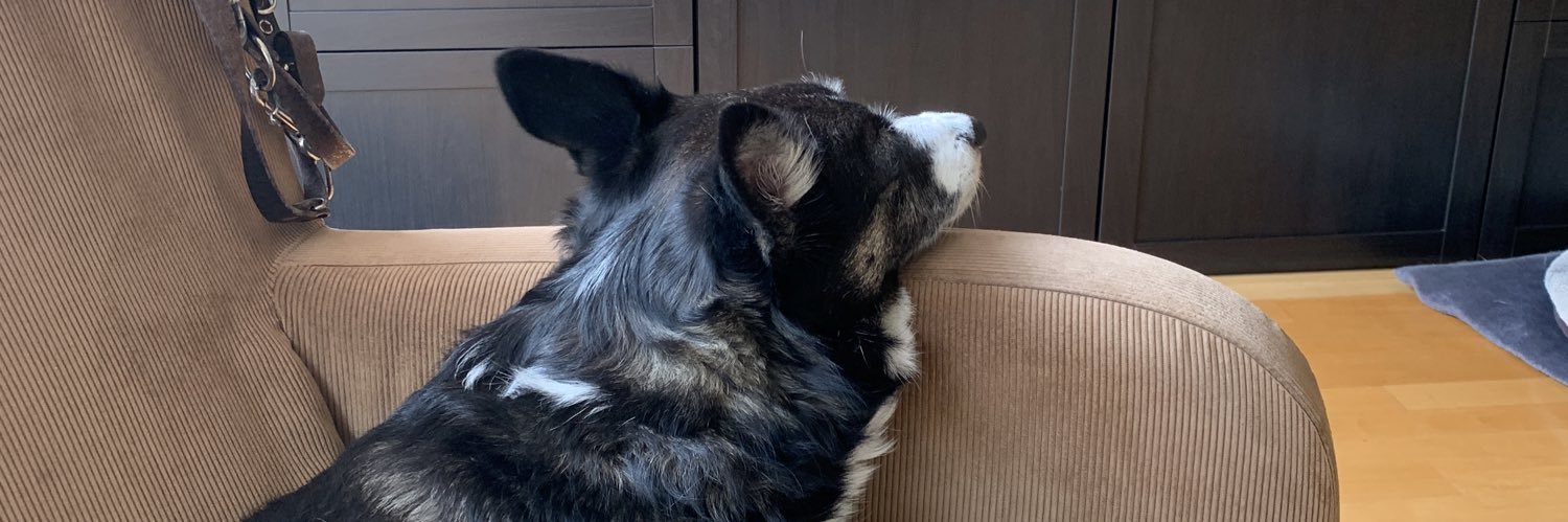 walrusit.bsky.social 312 ppm 共生 🐾🧢😎🇪🇺 banner