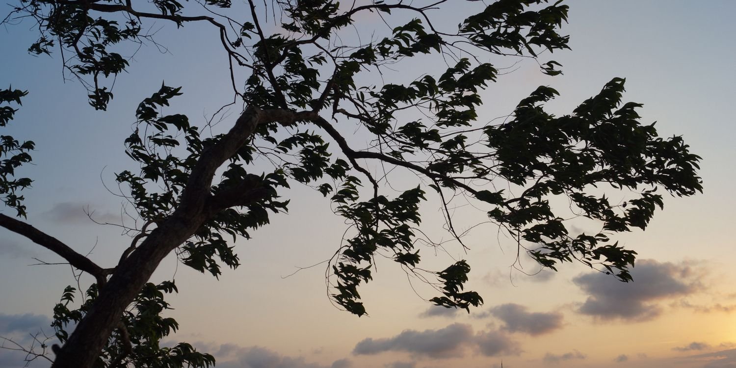 yulianaaaam's profile banner image
