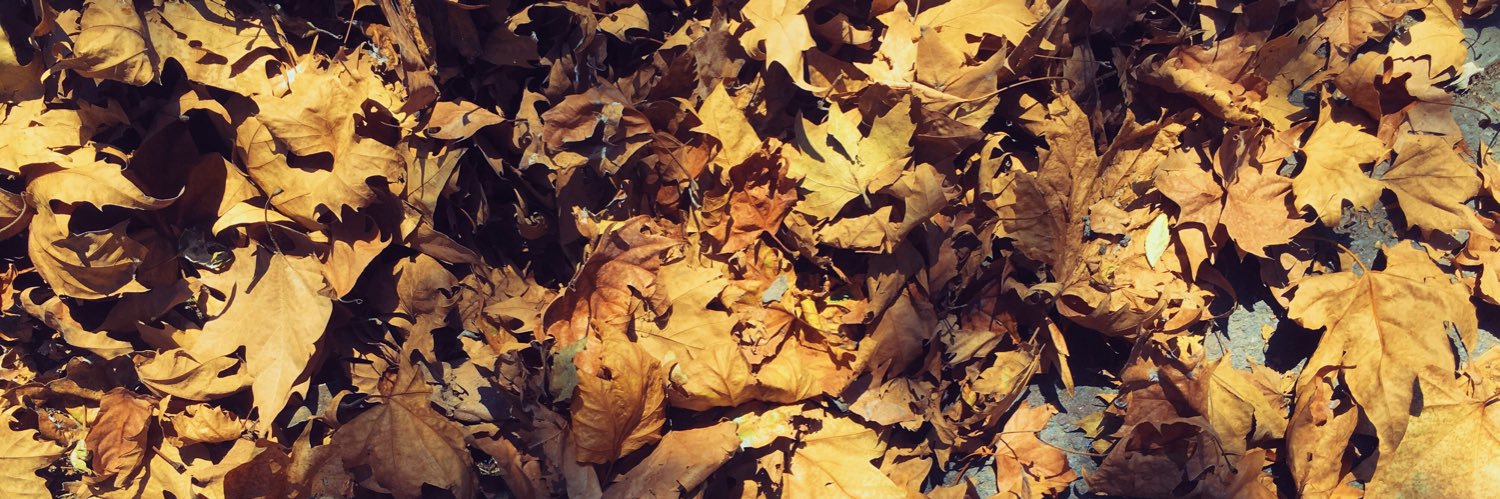 quattordici luglio. banner