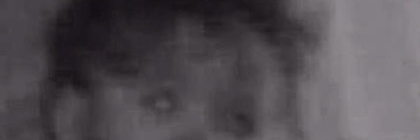 Miracleofedo02 Profile Banner