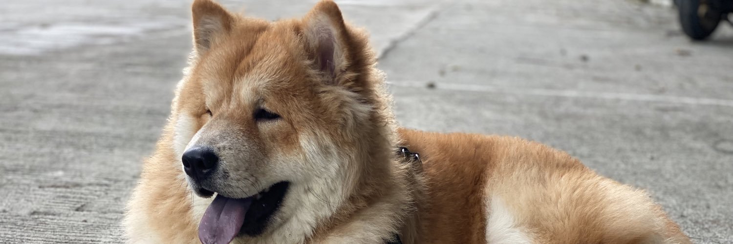 Aaronationn's profile banner image