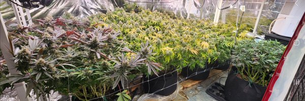 TokesSmokesX Profile Banner