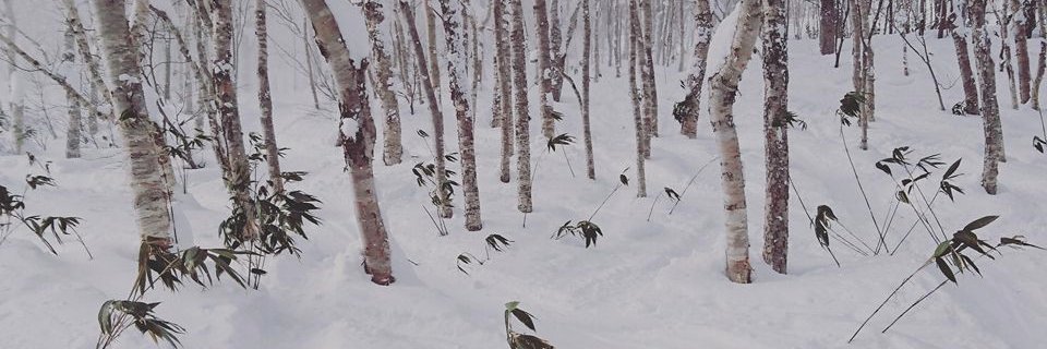 PBendel's profile banner image