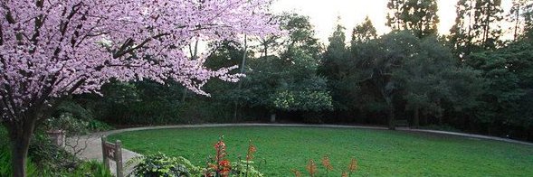 Piedmont Patch banner