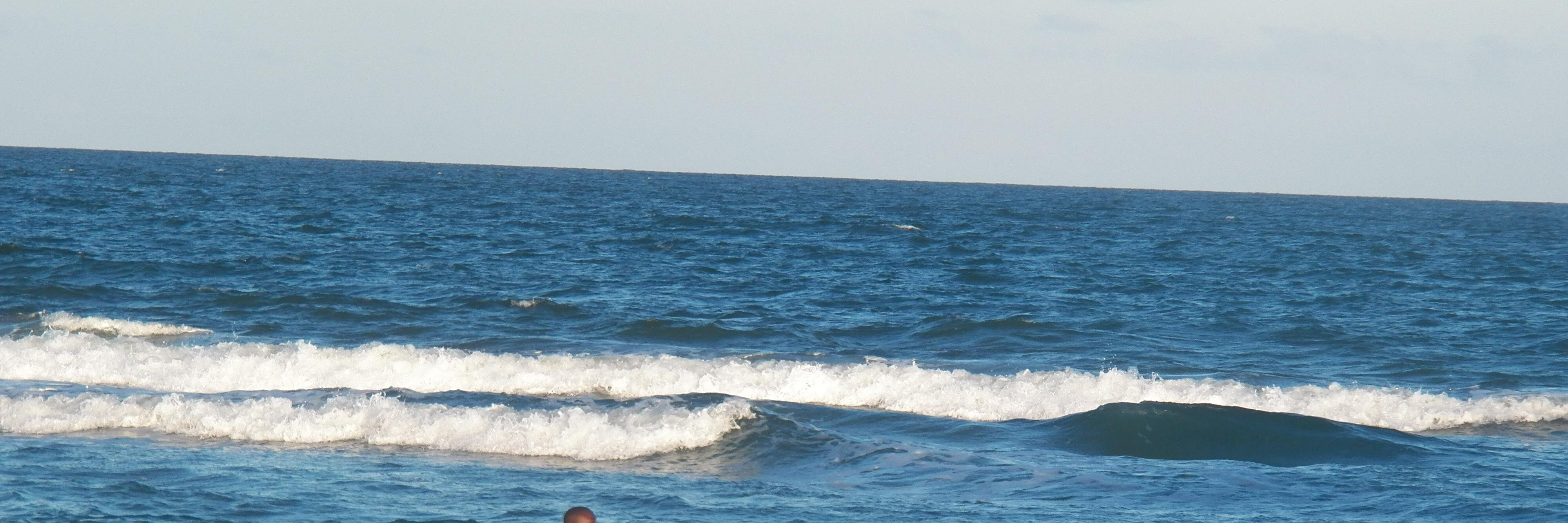 xayide's profile banner image