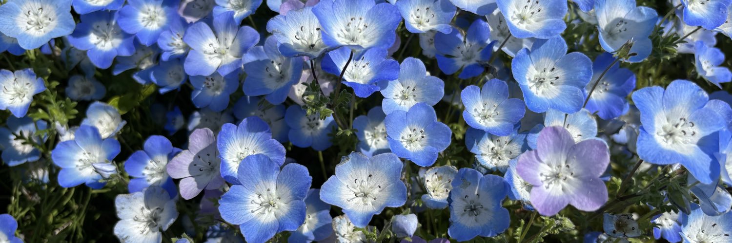 ℝ 𝕚 𝕠 banner