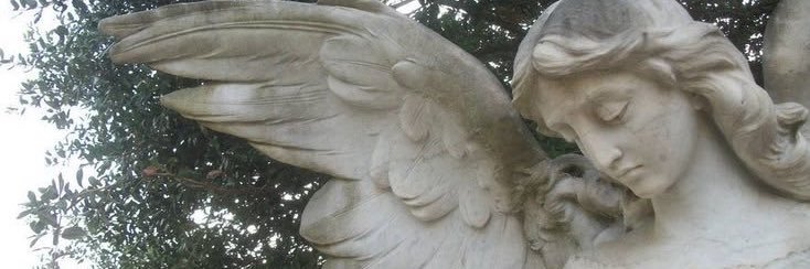 tinnyluer's profile banner image
