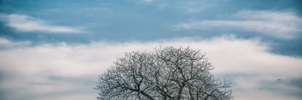 kevcham's profile banner image
