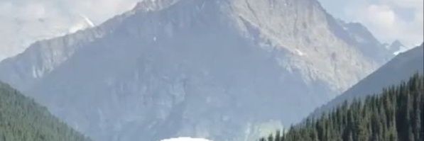 wii banner