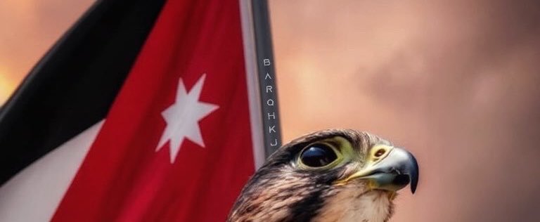 hamdandajah's profile banner image