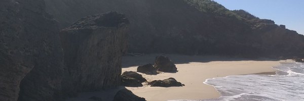 FreedomNude Profile Banner