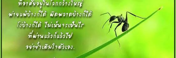 ละม่อม banner