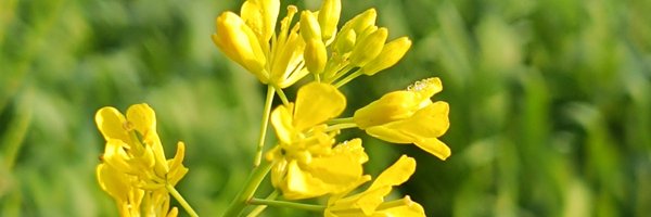 cs_aky Profile Banner