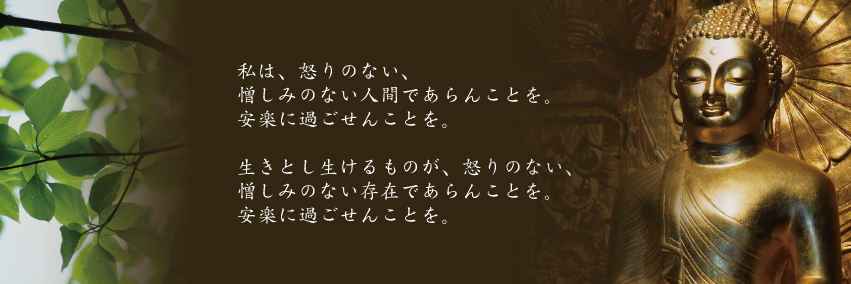 aranavihaara's profile banner image
