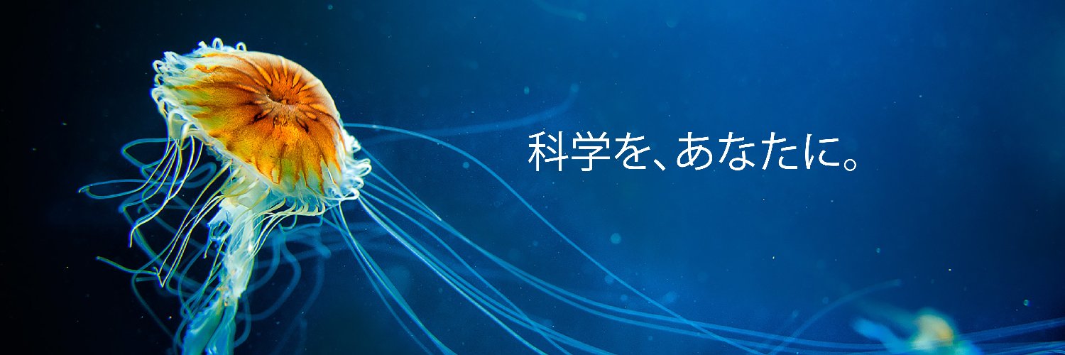 ScienceTalks_JP's profile banner image