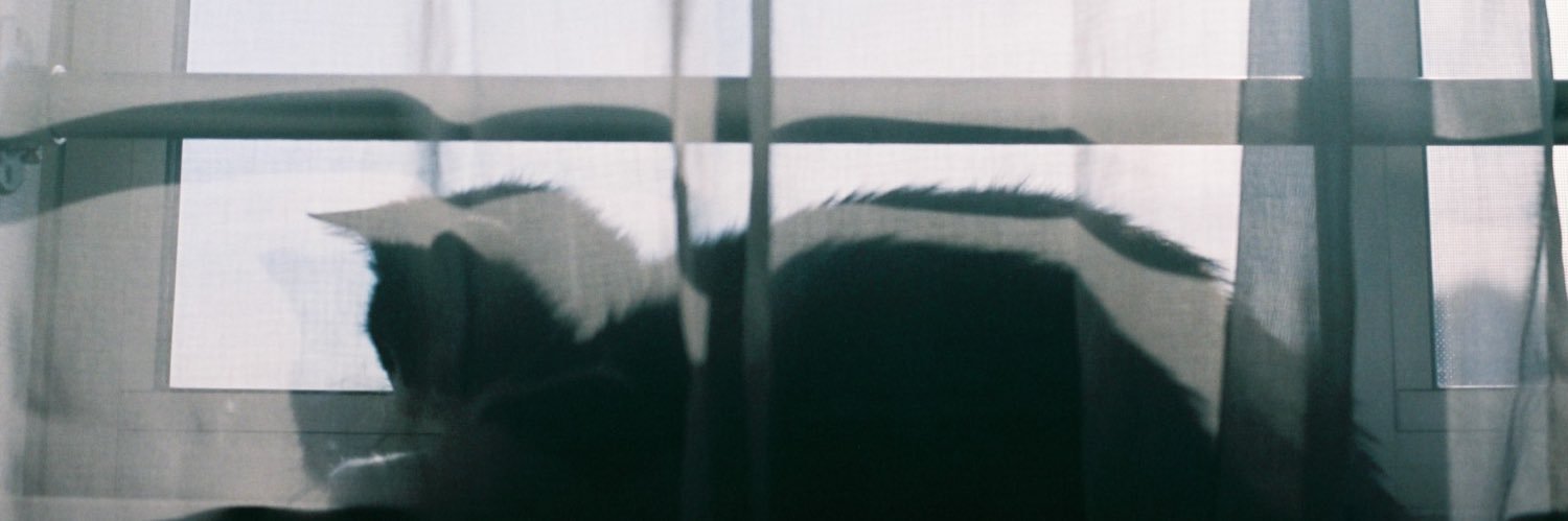 はむ's banner