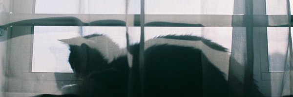 harusamu22 Profile Banner