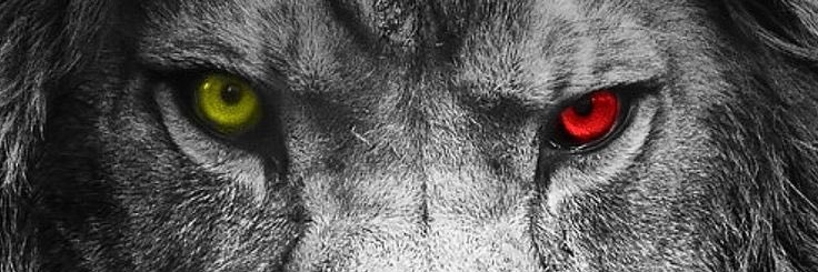 caracoban's profile banner image