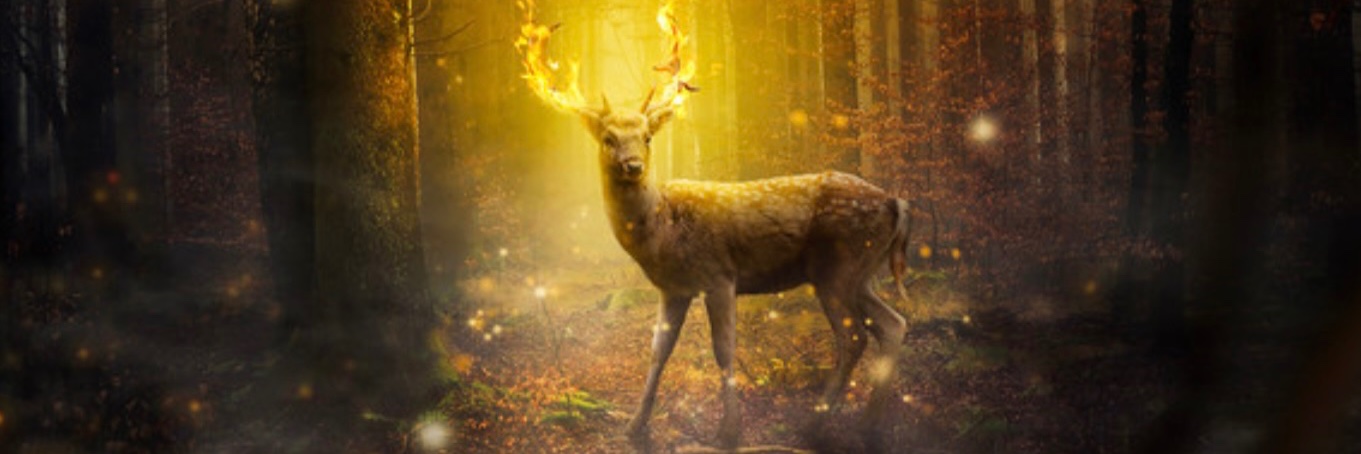 Orhan Ergezer banner