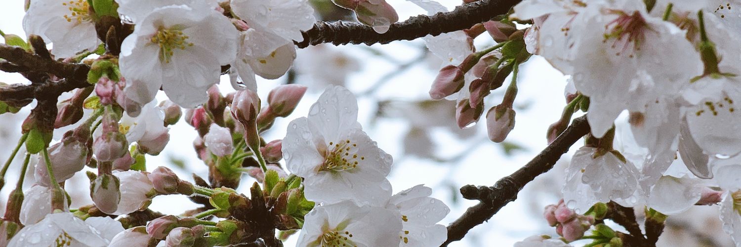 l3ig0de's profile banner image