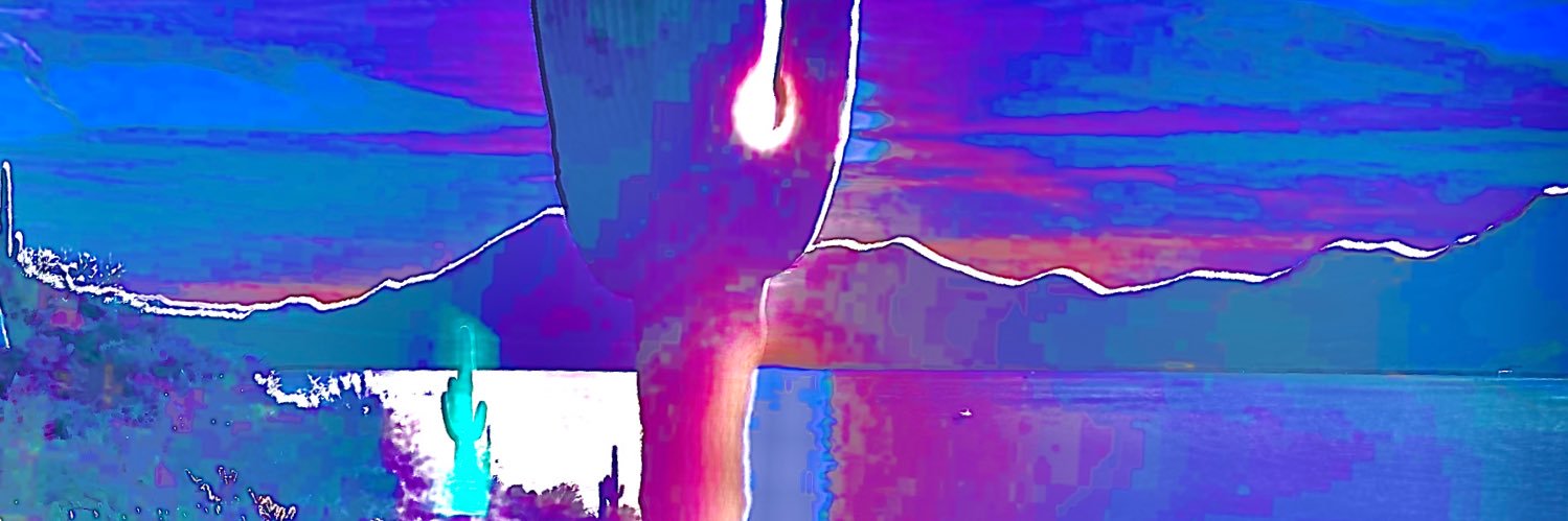 JellyfishFields banner