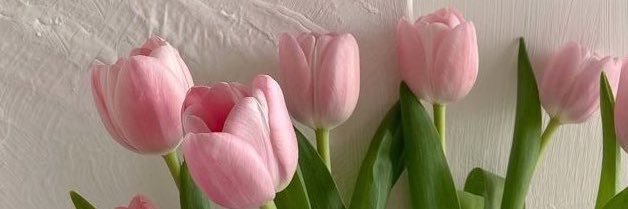 *﹆🄺🄸🅃🅃🅈 εїз 🌷ෆ 🎀ᐧ༚̮ᐧ banner