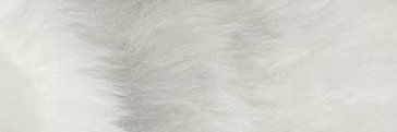 ynj_008's profile banner image