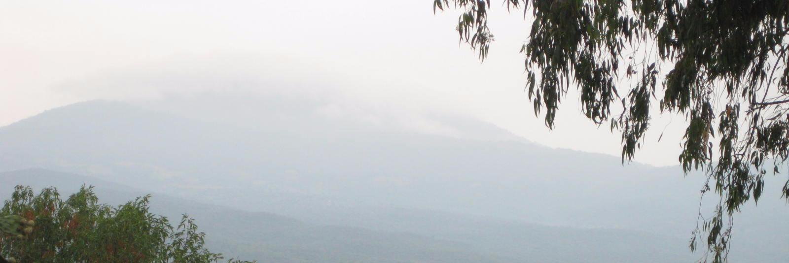 MikeGechter's profile banner image