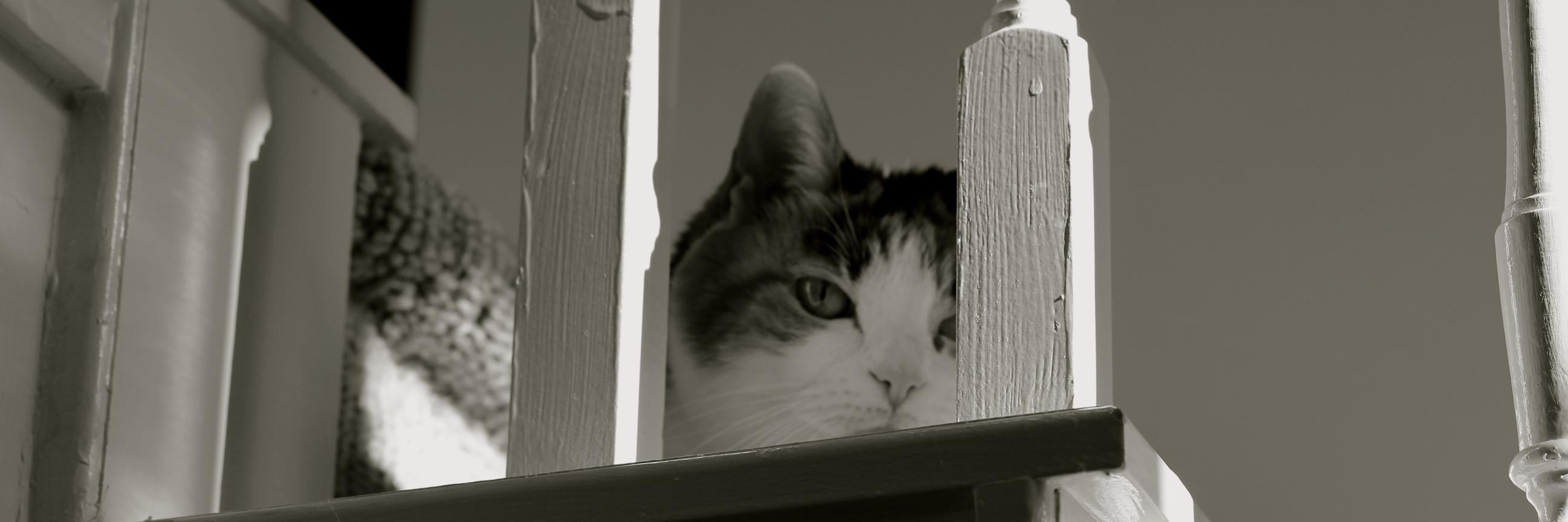 anle941's profile banner image
