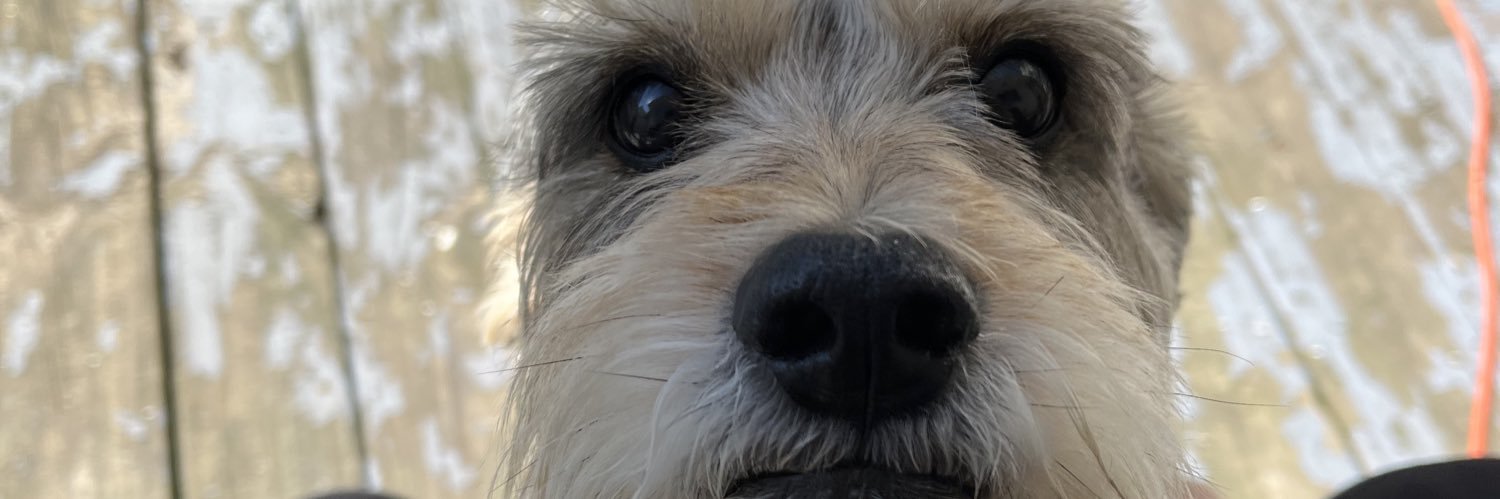 JoeWoahSeph's profile banner image