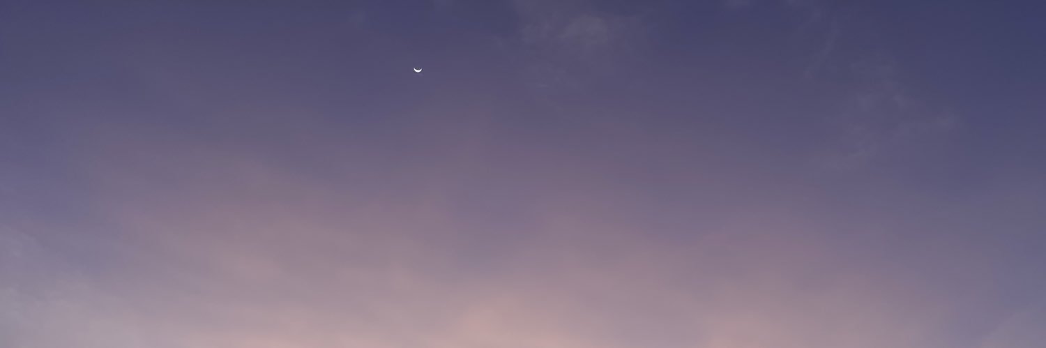 camillearcillas's profile banner image