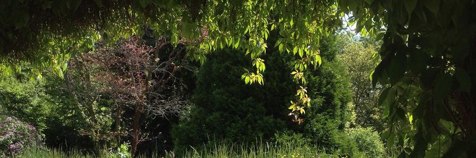 dom3924's profile banner image