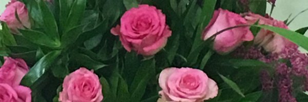 AishaSB2013 Profile Banner