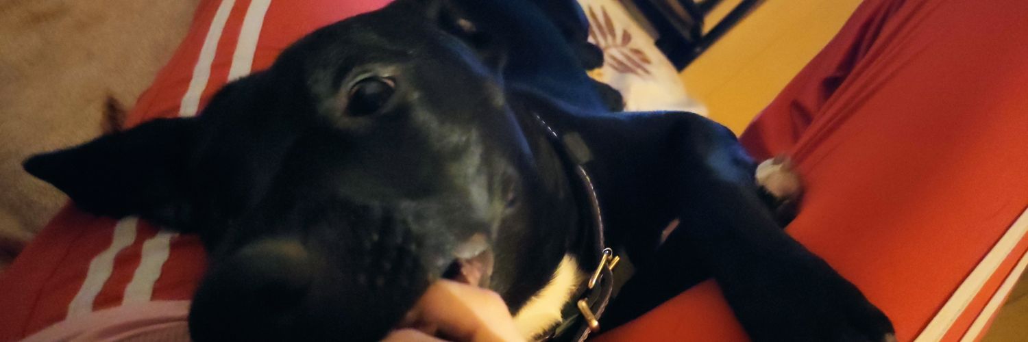 Zmayolina's profile banner image
