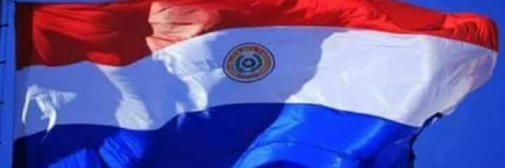 rbogadov's profile banner image