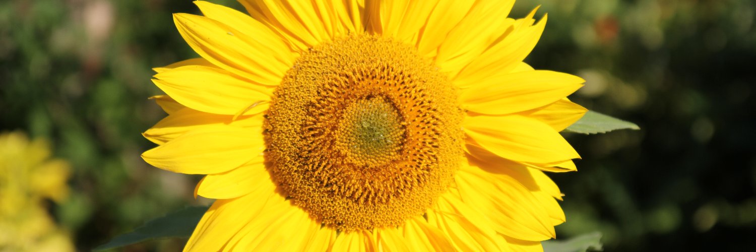 jonnybiddulph's profile banner image