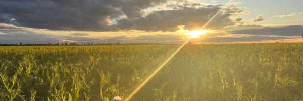 AaronHutcho Profile Banner