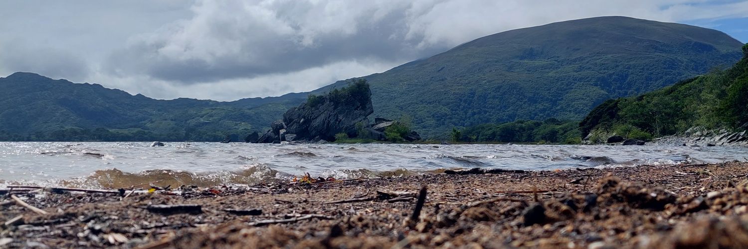 αn t-αiᵹꞃeαꞅ̇í 🇮🇪🇵🇸🇺🇦🇦🇲🇸🇾🇻🇪🇱🇧 banner