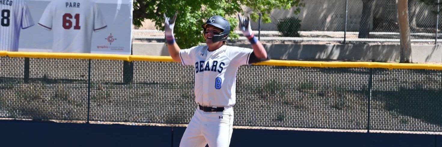 Braiden Reynolds banner