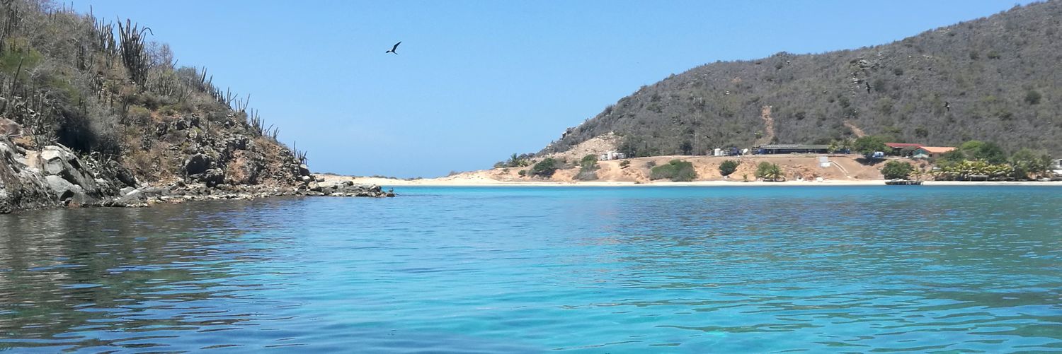 🇻🇪 Pedro Franco 🇻🇪 banner