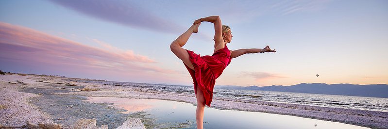 Sattva.Institute banner