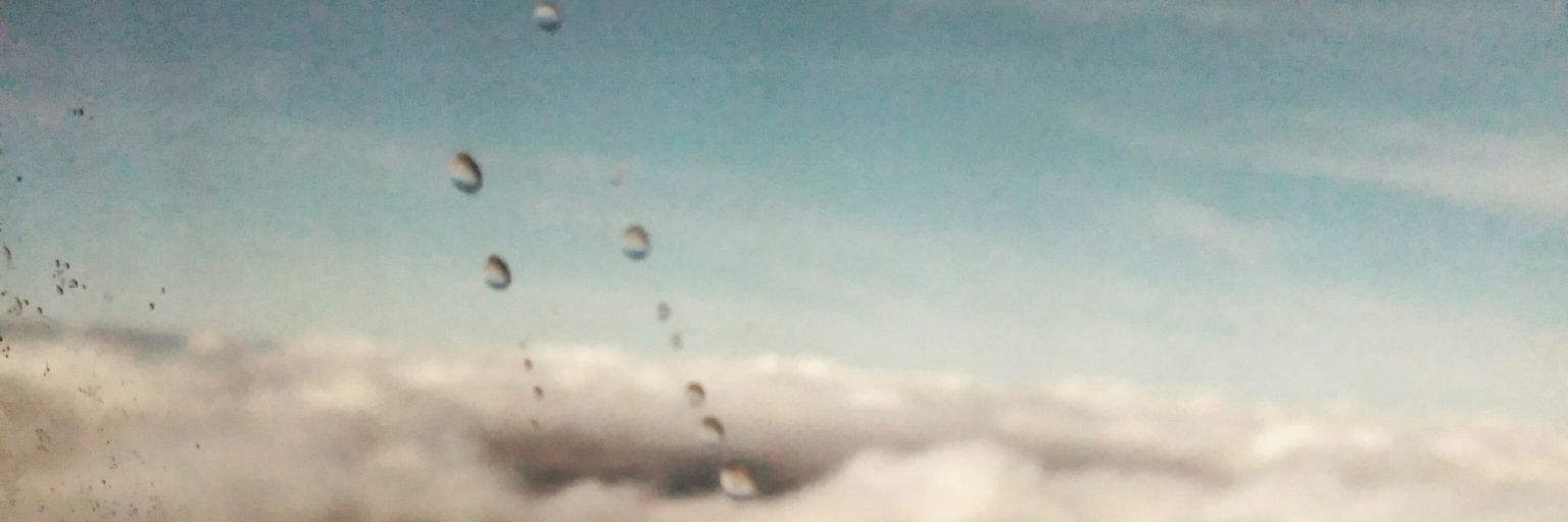 AltheaFlus's profile banner image