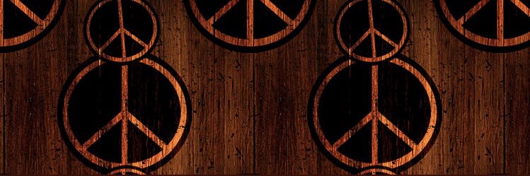 zeynepbltbd's profile banner image