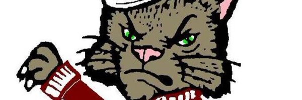 luke51Tomcats Profile Banner