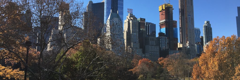 Julia Swallow banner