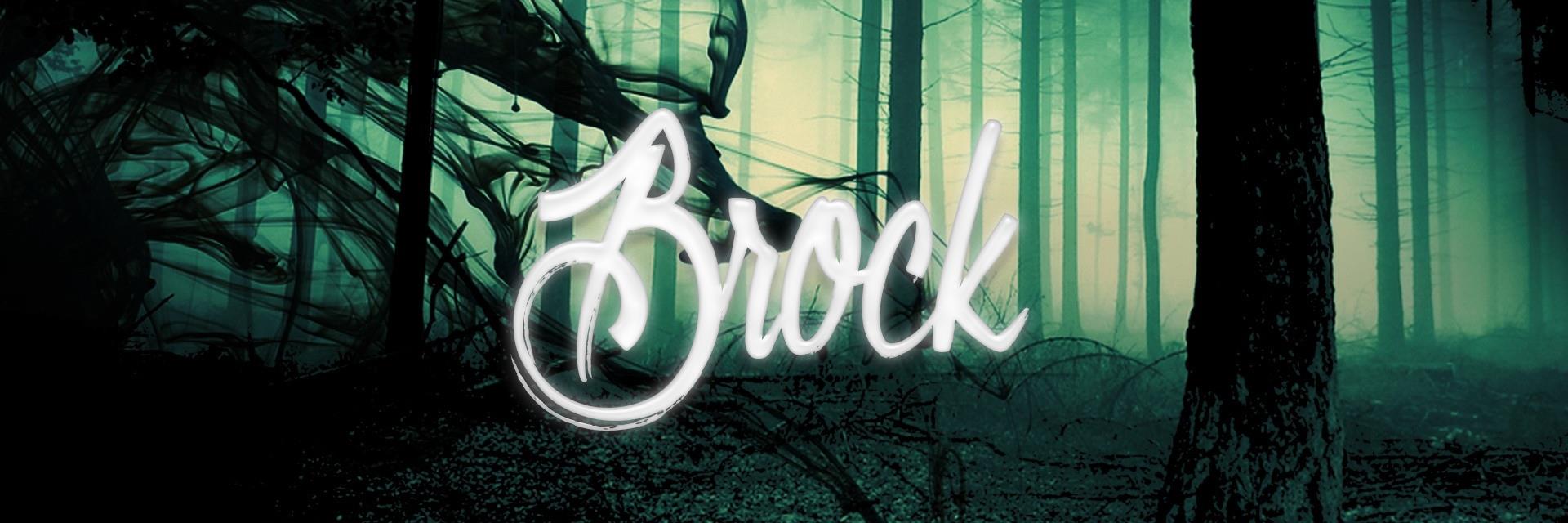 HighImBrock's profile banner image