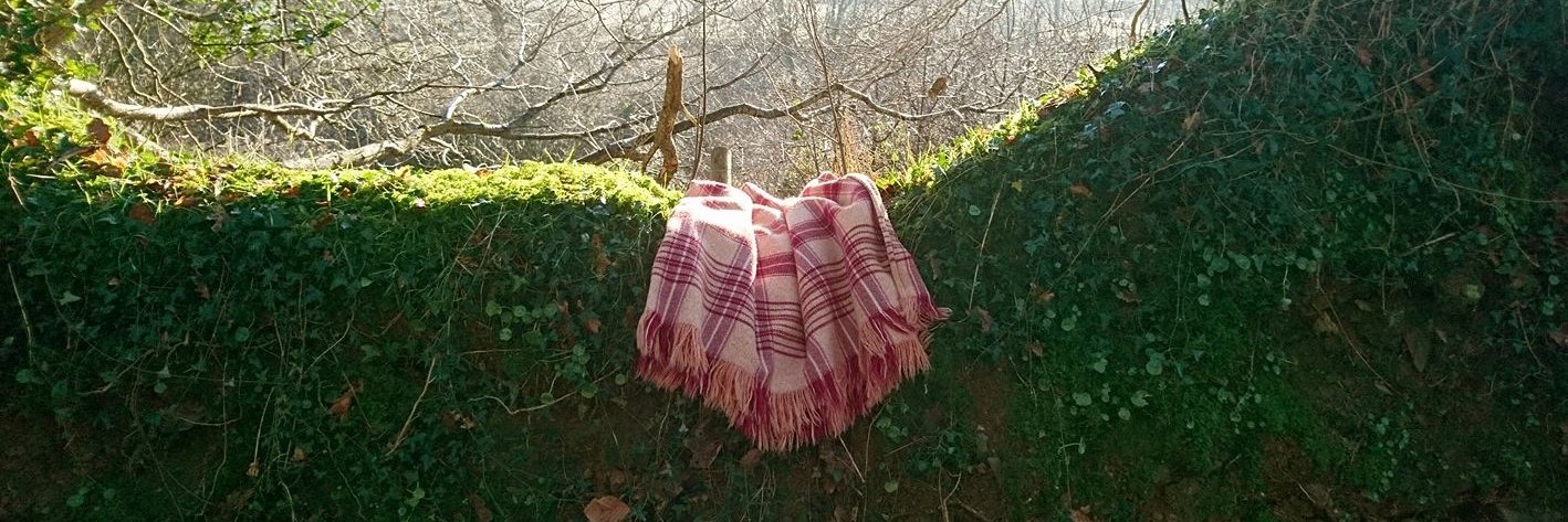 JaneBeckWelshBlanket banner