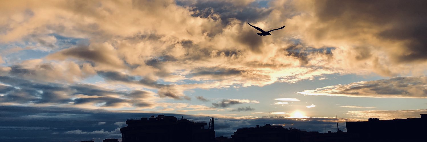 vitolakitija's profile banner image