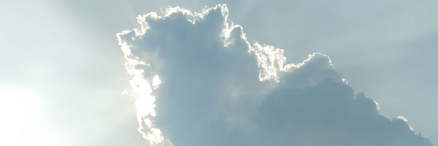 journalistmanan's profile banner image